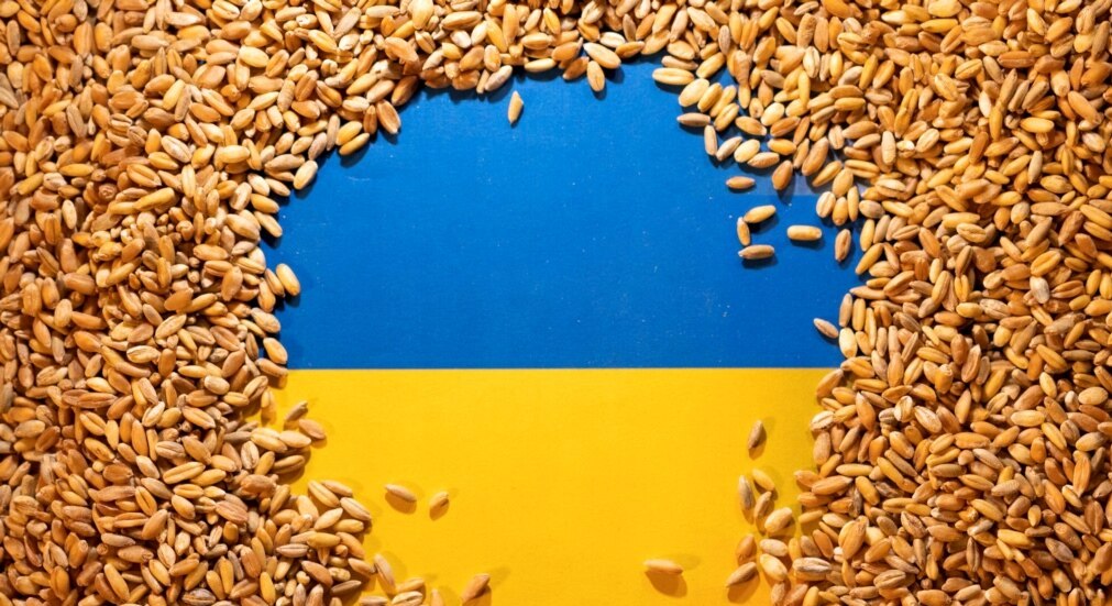 The Ukrainian economy sells wheat, maize, rapeseed, and sunflower seeds in quantities from 100 to 1000 tons per crop