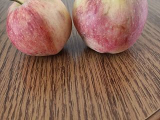 I will sell organic apples.