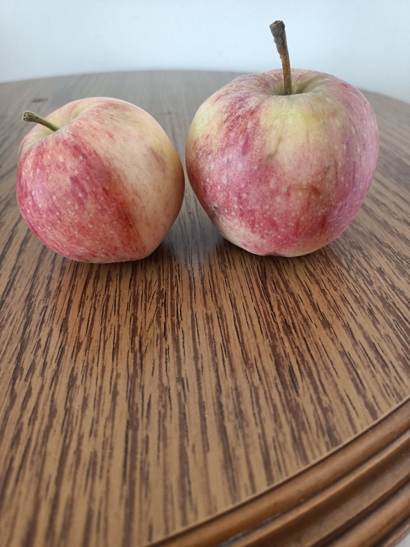 I will sell organic apples