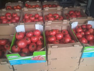 Hello, man for sale beautiful raspberry tomatoes from the