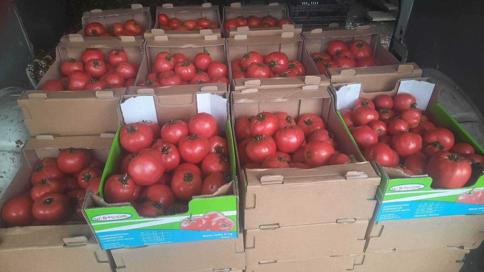 Hello, man for sale beautiful raspberry tomatoes from the tunnel