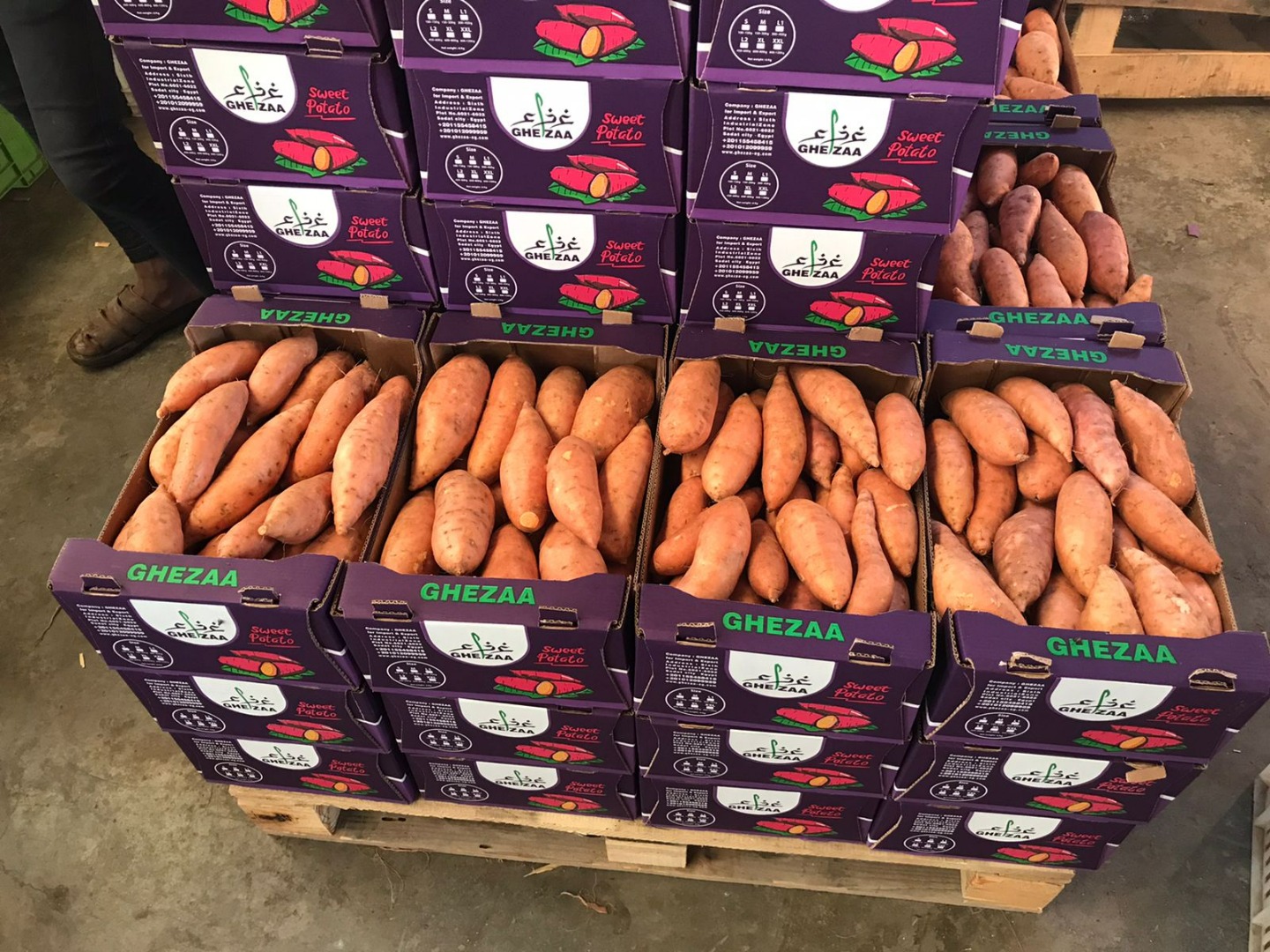 I will sell sweet potatoes of all varieties: Beauregard, Covington, Bellevue