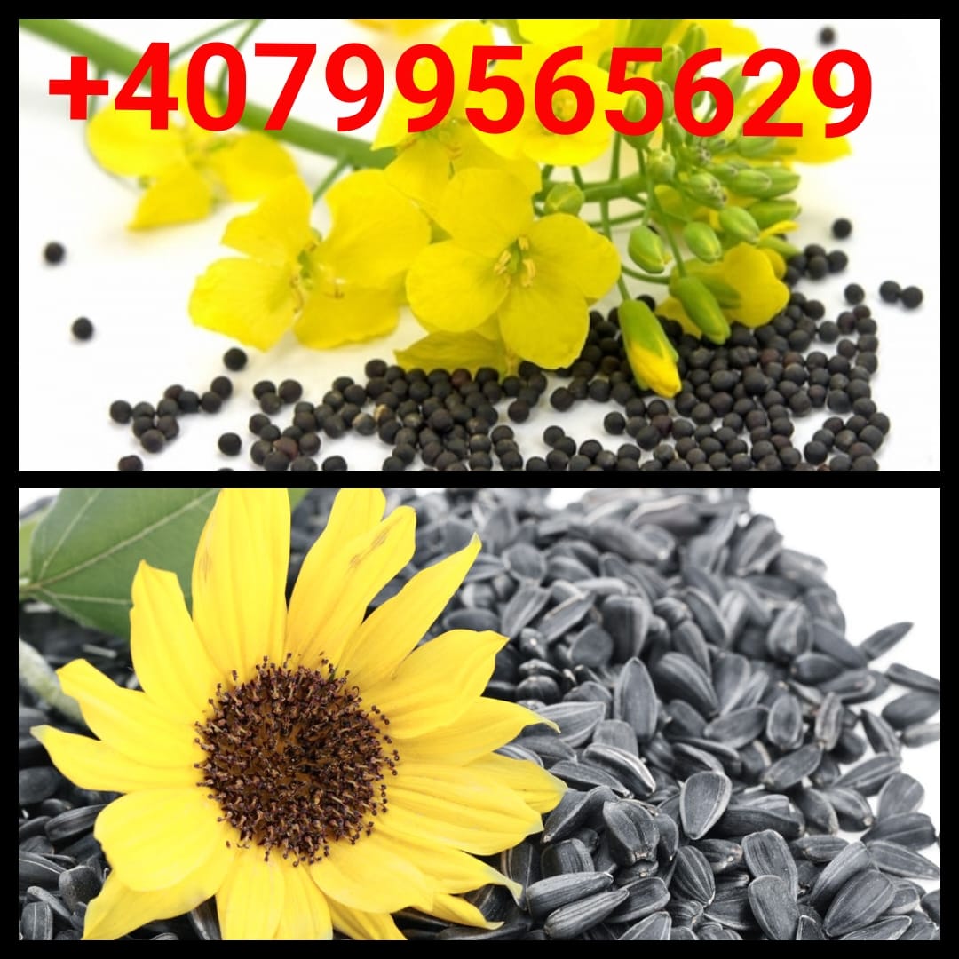 I am selling a large quantity of rapeseed, a certificate is provided