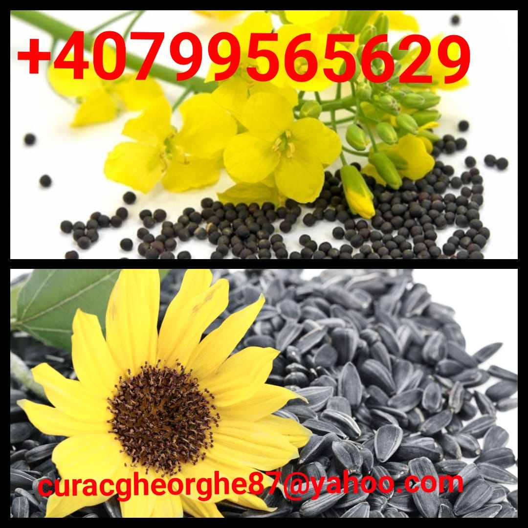 I am selling a large quantity of rapeseed (and cereals) with a certificate, other details on the phone
