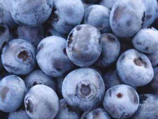 Hello, I am selling a fresh blueberry from the