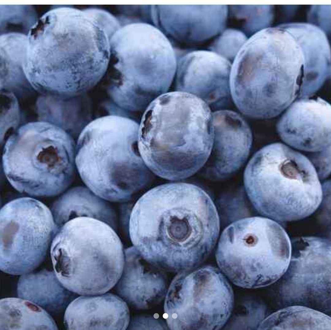 Hello, I am selling a fresh blueberry from the Jizera Mountains, harvested daily up to 60 liters per day, price: PLN 15