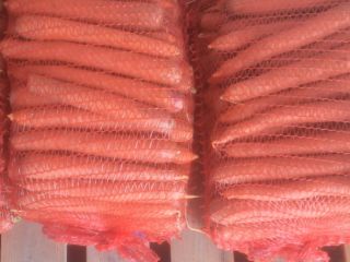 I will sell carrots for consumption. LAGUNA variety. Contact