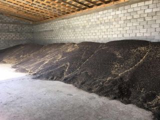 Spread Rapeseed from Ukraine with delivery to Poland ...