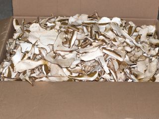 I sell dry, fresh and frozen mushrooms