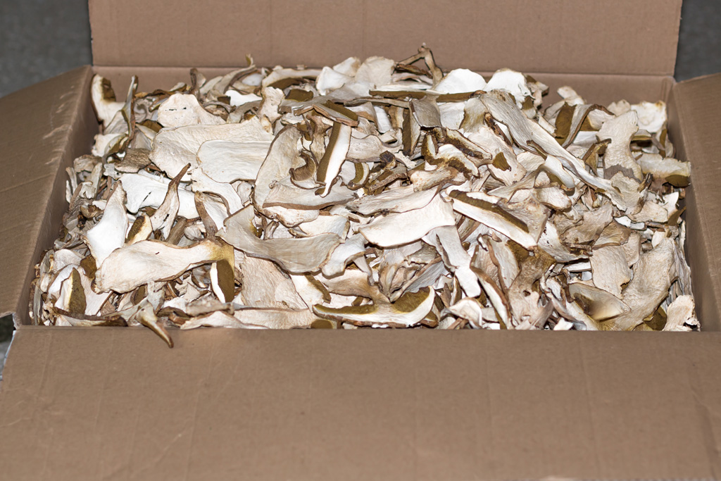 I sell dry, fresh and frozen mushrooms