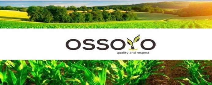 Societatea comercială de cereale „Ossoyo” vinde grâu, floarea soarelui, orz, rapiță și porumb