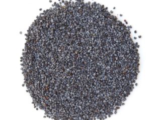 Good morning, I will buy blue poppy seeds. Fast
