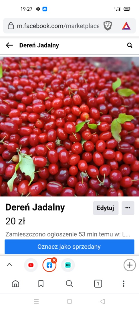 Hello, I have about 300-400 tons of edible dogwood fruit