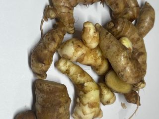 WILD, ORGANIC, BIO TUMERIC - KURKUMA fresh, natural, organic
