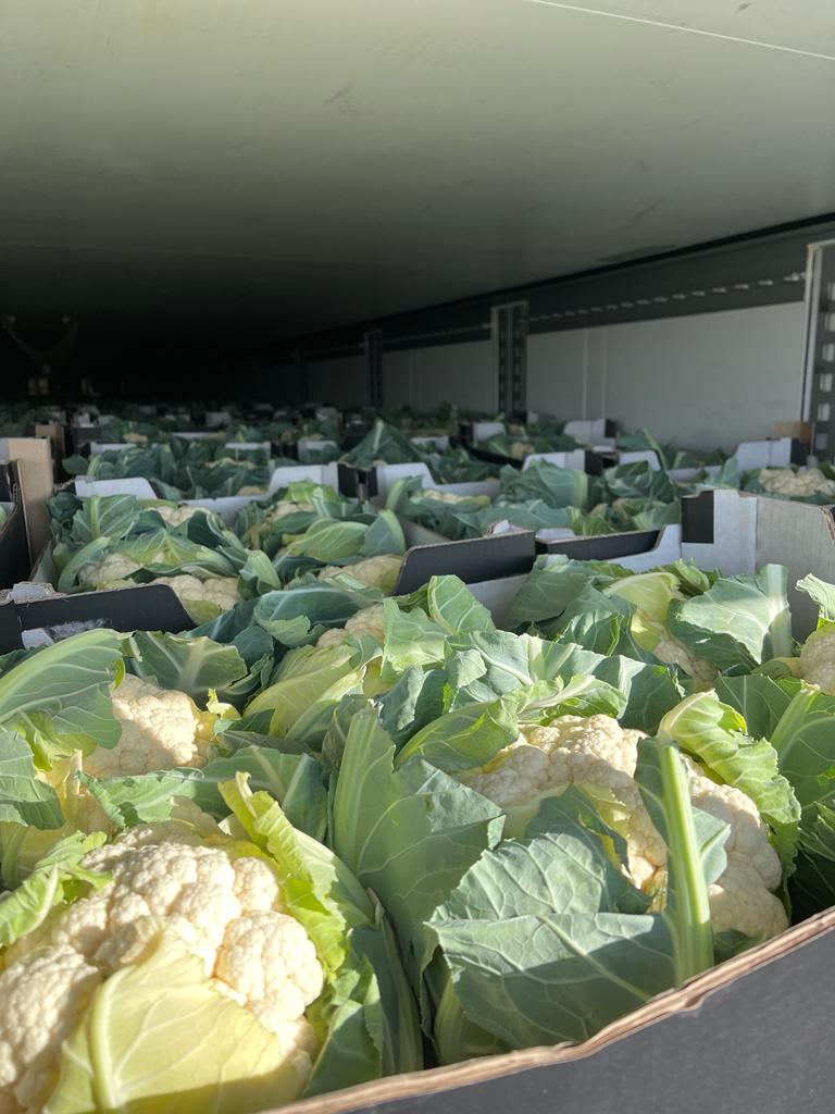I am selling quality I cauliflower