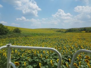 Organic company in the Timis region, Romania, certified Bios,
