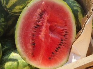 Juicy watermelon straight from Greece 8 pal. Caliber 5