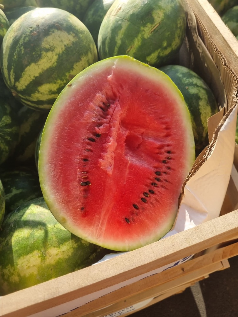 Juicy watermelon straight from Greece 8 pal