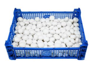 We are wholesalers from Giessen/Germany and are looking for