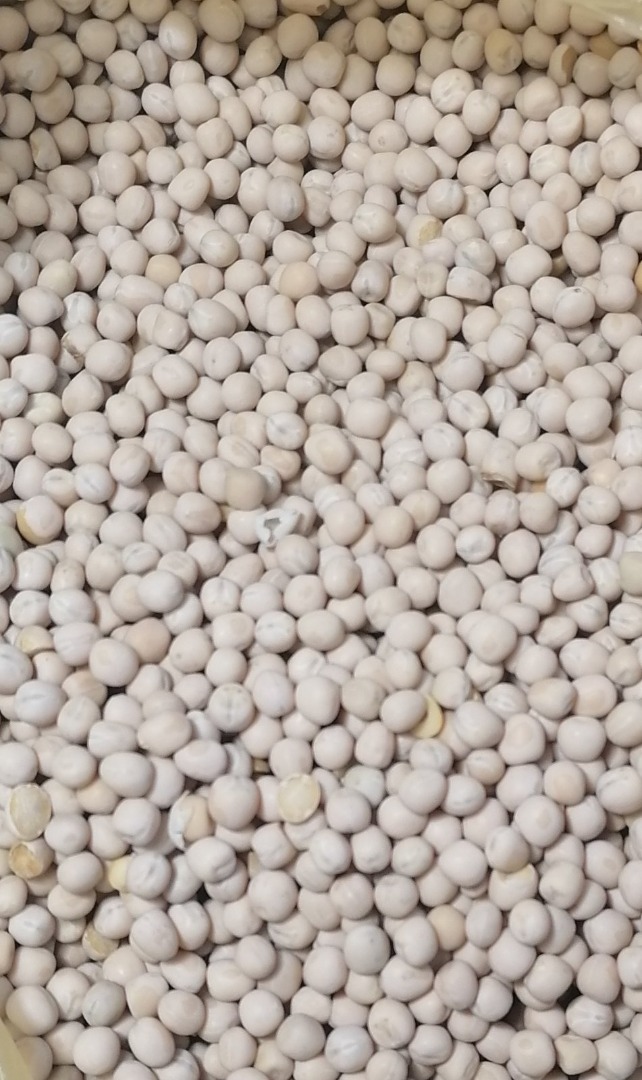 Peas have a multi-purpose feed application: grains, whole or in the form of flour (crushed), are fed to animals, especially young animals; peas are also