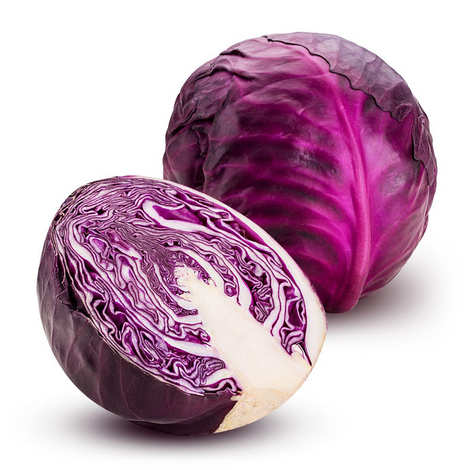 We have a excellent well grown red cabbage in our farms in Greece , Crete located and we do have our unique way of growing vegetables used also in ancient