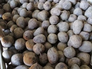 I have a red beetroot for sale, Monty variety.