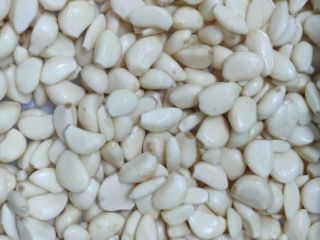 Offers white garlic peeled. Packaging to be agreed. 5