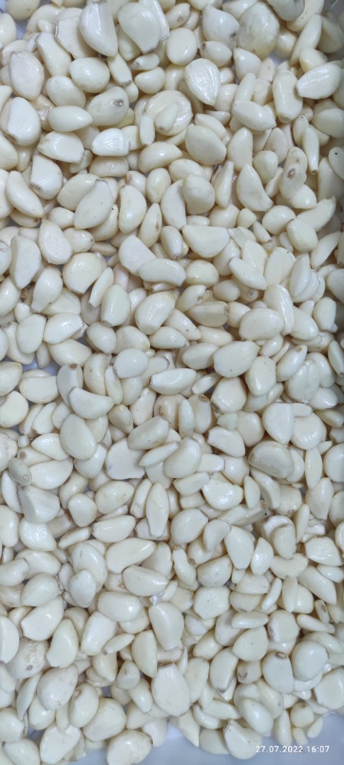 Offers white garlic peeled