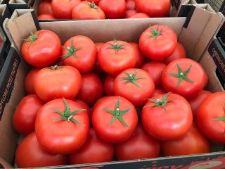 hello I have a red tomato for sale, price