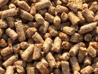 Wheat bran loose and granulated in big bags of