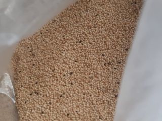 Grains Amaranth, 400 metric ton, 50kg\bag