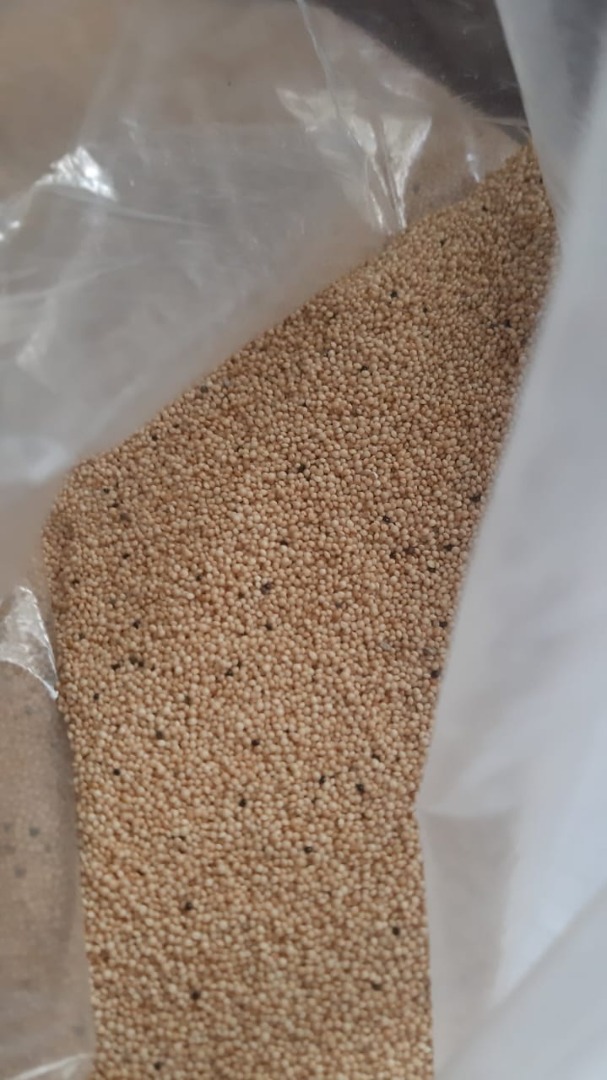 Grains Amaranth, 400 metric ton, 50kg\bag