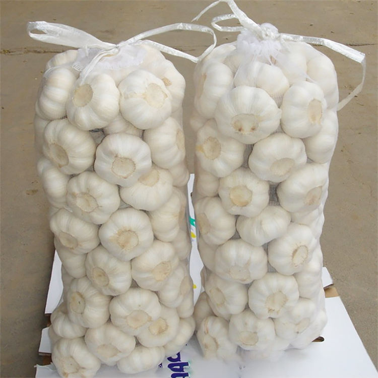 We supply, Ginger, garlic, yellow corn, avocados, vanilla beans