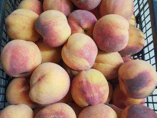 I will sell 3 tons of Greek peaches, 4-5