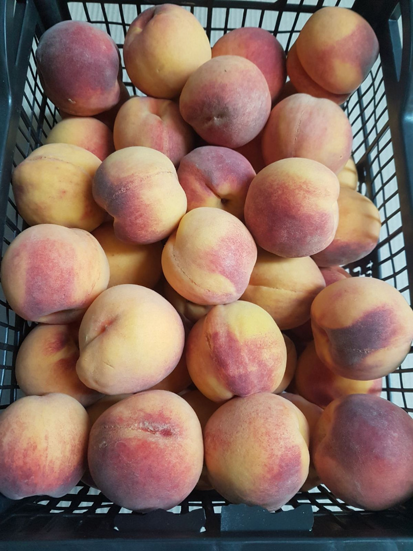 I will sell 3 tons of Greek peaches, 4-5 pallets