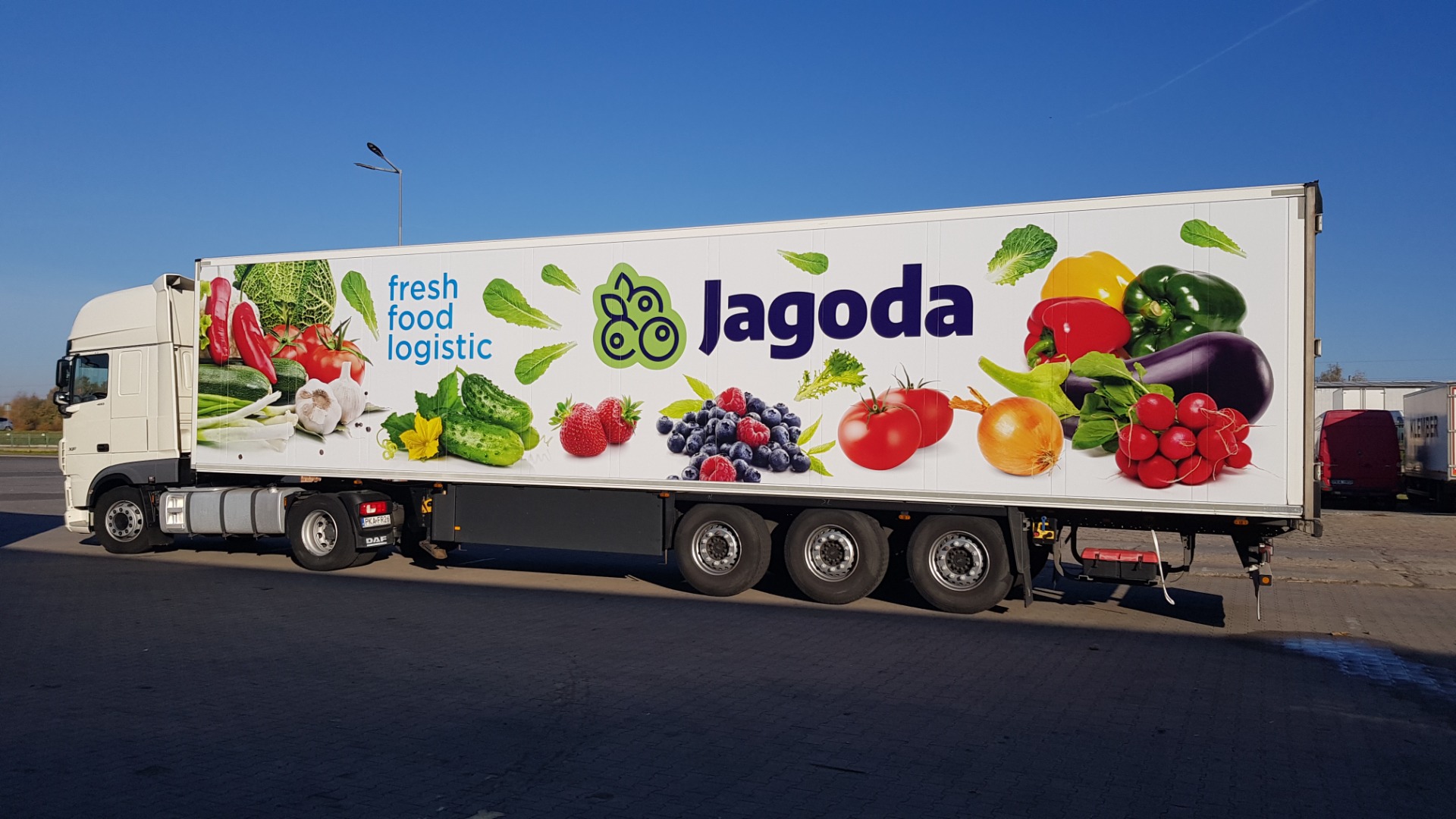 The garden and trade company "Jagoda" from Kalisz sells small and large quantities of field and greenhouse cucumbers, raspberry and red tomatoes