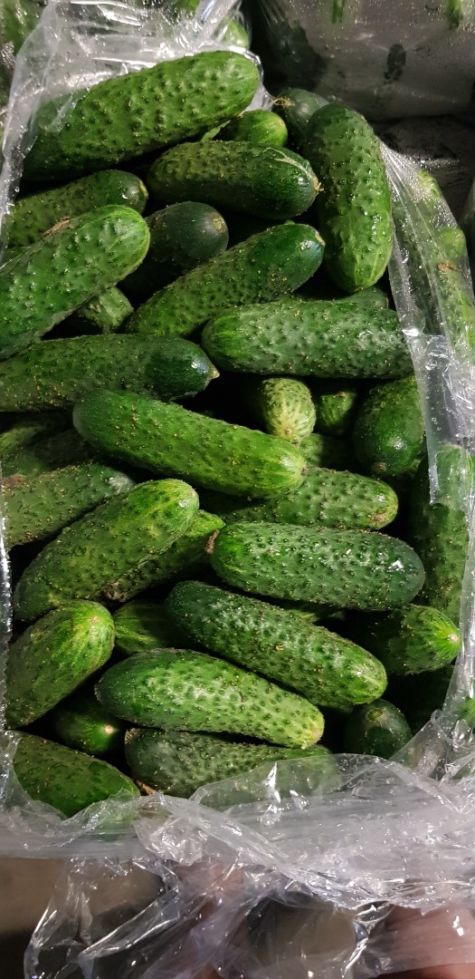 A gardening and trading company called Jagoda from Kalisz sells small and large quantities of field and greenhouse cucumbers, raspberry and red tomatoes