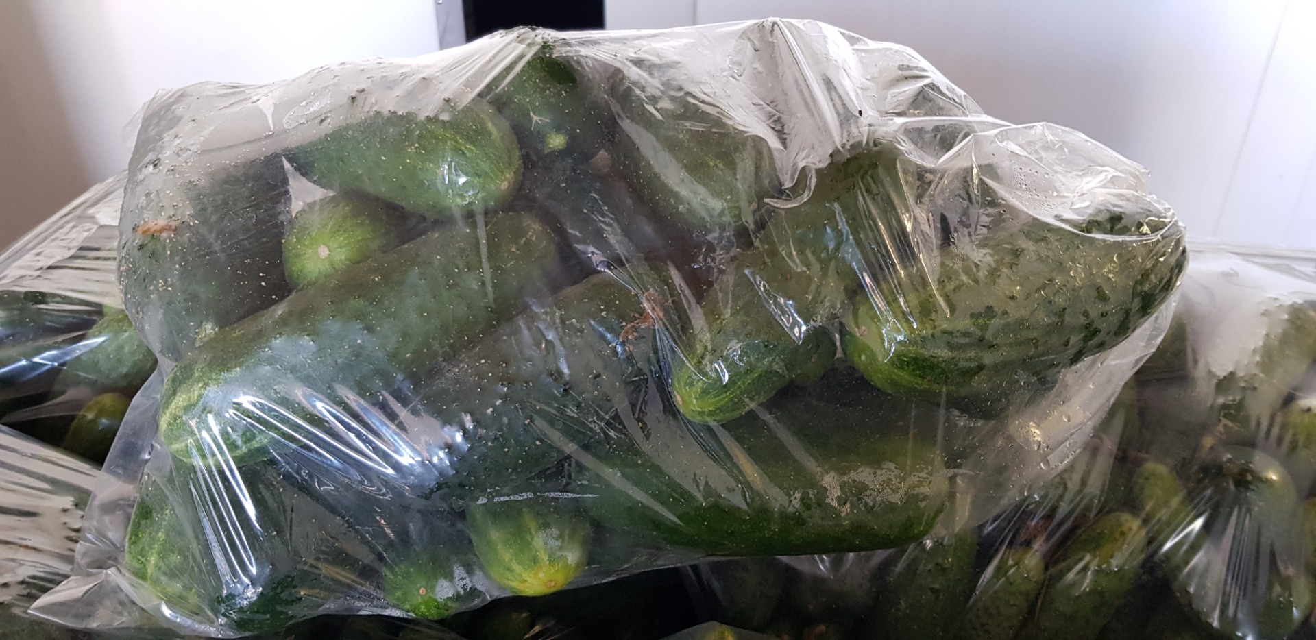 The garden and trade company "Jagoda" from Kalisz sells small and large quantities of field and greenhouse cucumbers, raspberry and red tomatoes
