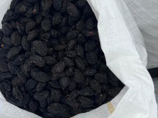 I sell prunes with and without seeds