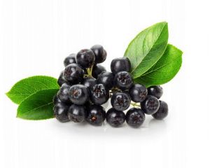 I will sell organic chokeberry, no fertilizers and no