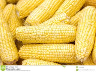 Dry yellow Maize. Free shipping all over the world