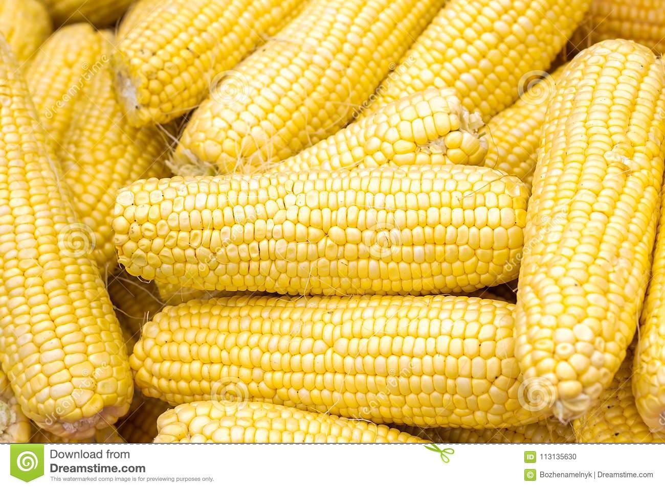 Dry yellow Maize