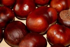 Hello, we have been purchasing chestnuts in the Lubuskie province for several years