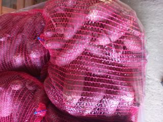 Hello, I am selling beetroot Alto variety. More information