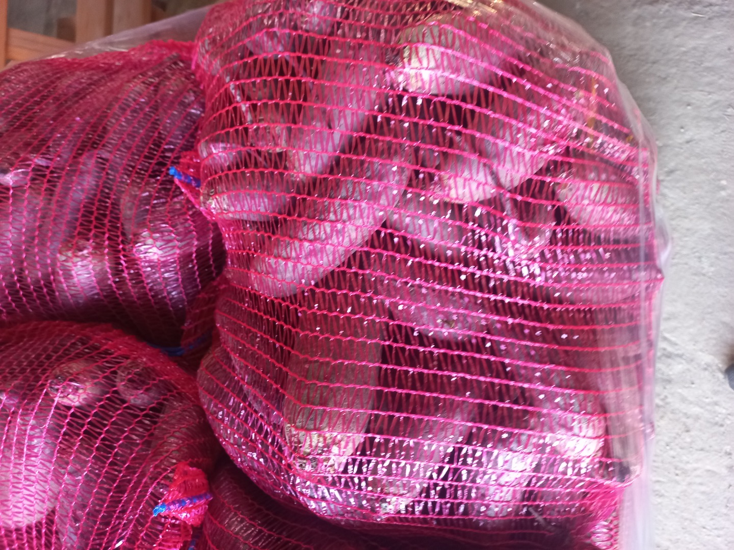 Hello, I am selling beetroot Alto variety