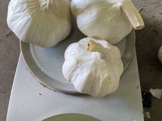 From 5mm+ To 7mm- Turkish hight quality white garlic