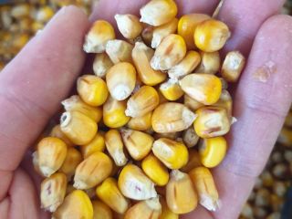 AGRO from Ukraine, close to the Polish border. We