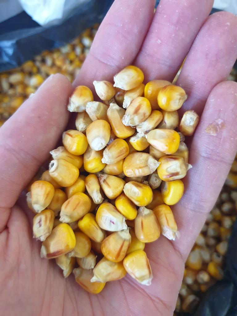 AGRO from Ukraine, close to the Polish border