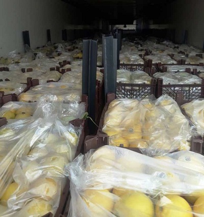 Considering the capacity of our dear country Iran, Lemona 1 Group has decided to produce, supply, market and sell limes and some dried lemons