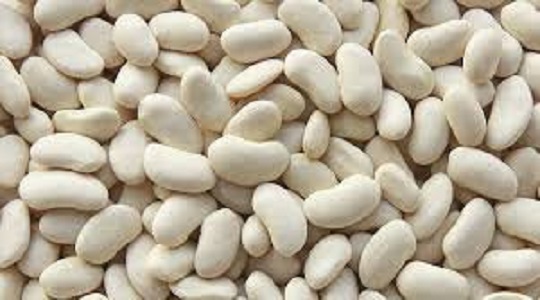 The processor buys beans of white varieties in bulk